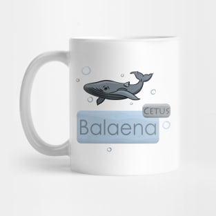 Whale Cetus Balaena Mug